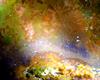Best Art Galleries in Austin Texas 